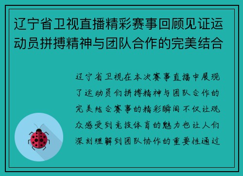 辽宁省卫视直播精彩赛事回顾见证运动员拼搏精神与团队合作的完美结合